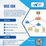 WSC CDN | WeSmartCorp