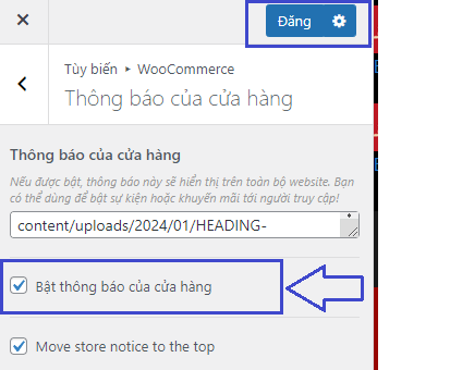 Can't remove Demo Store Notice | Wesmartcorp.com