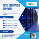 WSC DEDICATED WP DN5 | WeSmartCorp
